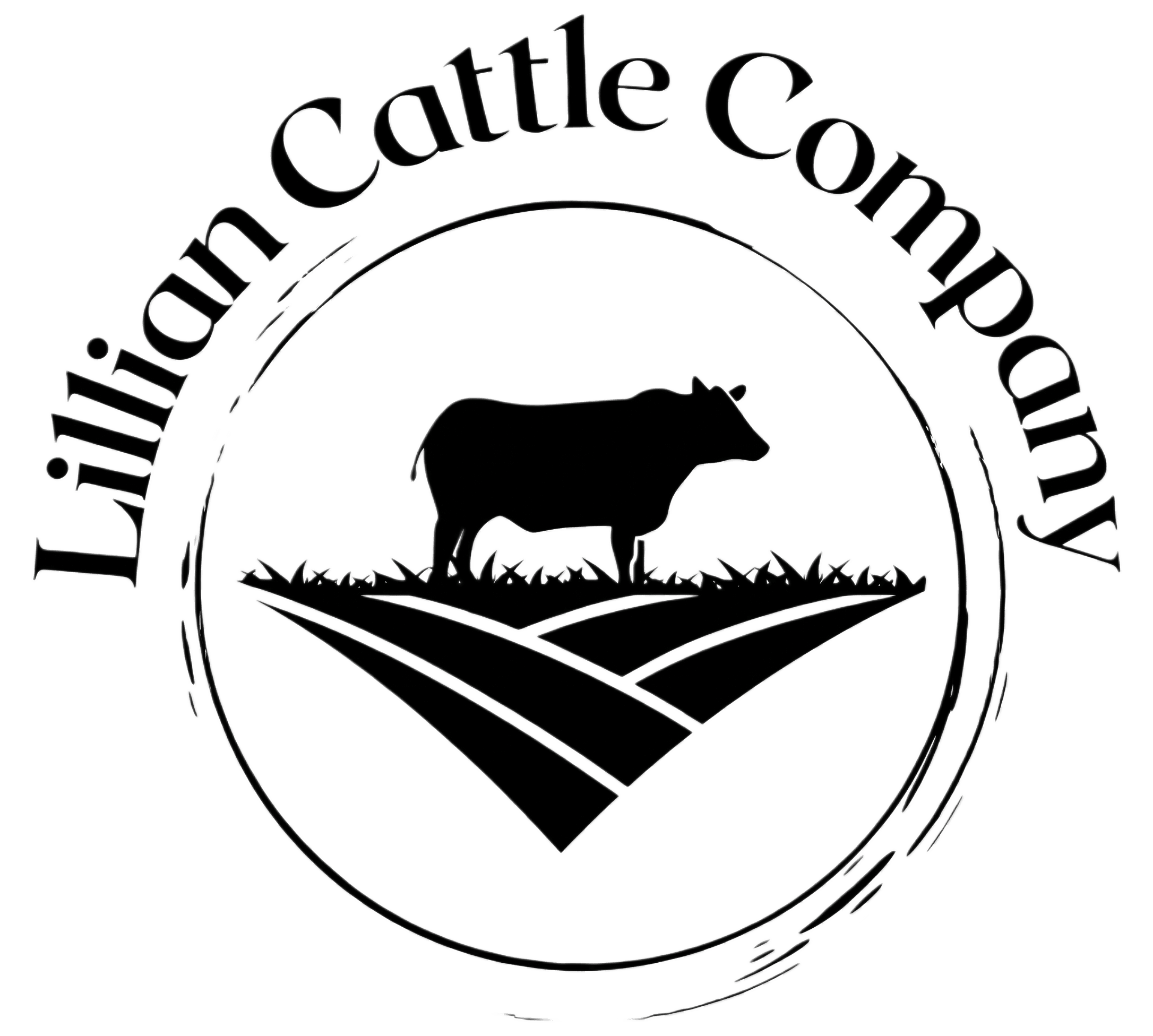 Lillian Cattle Company logo